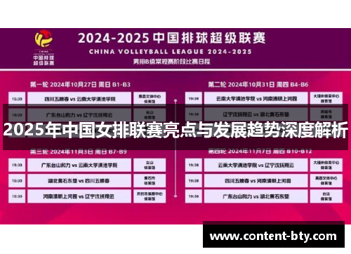 2025年中国女排联赛亮点与发展趋势深度解析