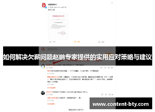 如何解决欠薪问题赵鹏专家提供的实用应对策略与建议