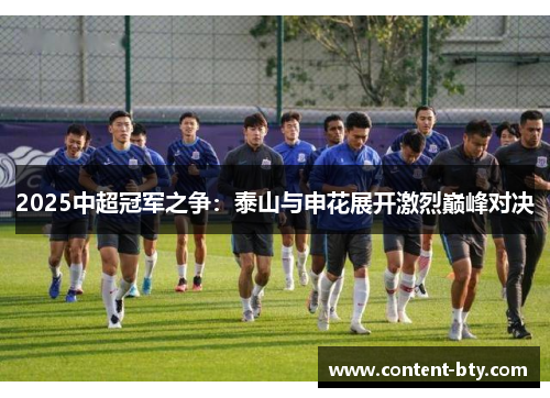 2025中超冠军之争：泰山与申花展开激烈巅峰对决
