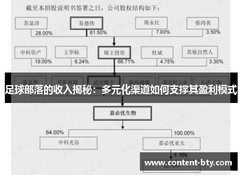 足球部落的收入揭秘：多元化渠道如何支撑其盈利模式