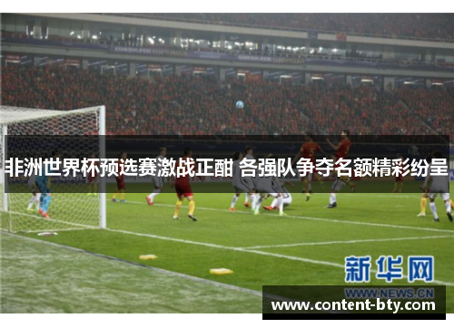 非洲世界杯预选赛激战正酣 各强队争夺名额精彩纷呈