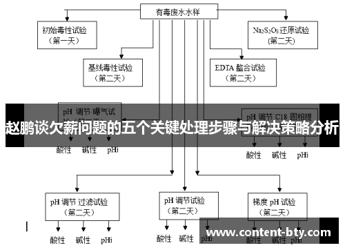 赵鹏谈欠薪问题的五个关键处理步骤与解决策略分析
