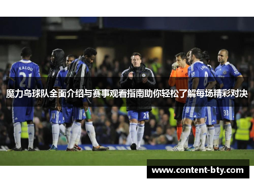 魔力鸟球队全面介绍与赛事观看指南助你轻松了解每场精彩对决