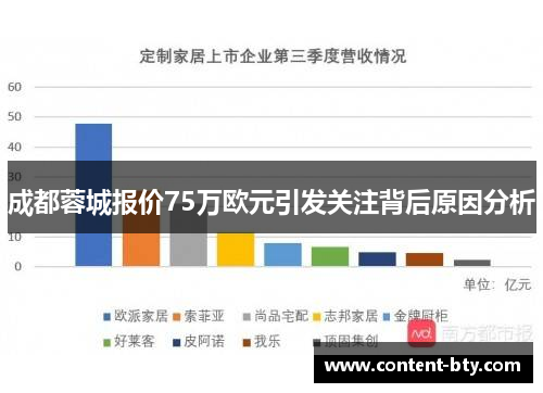 成都蓉城报价75万欧元引发关注背后原因分析